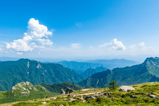 秦岭山