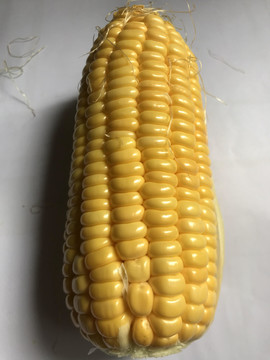 玉米