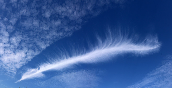 蓝天上出现的羽毛状白云
