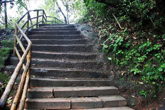 丹霞山山路