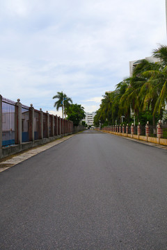 沥青道路