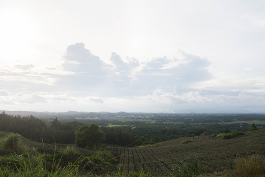 山地