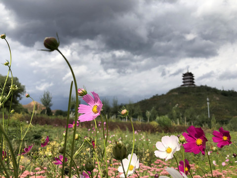 海东市乐都区蚂蚁山风光