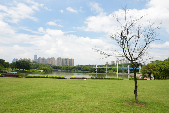 公园