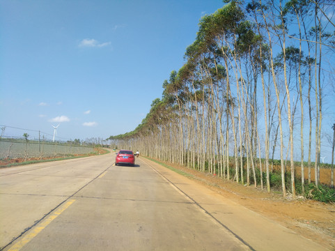 路