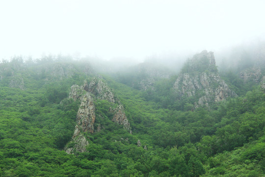 高山裸岩