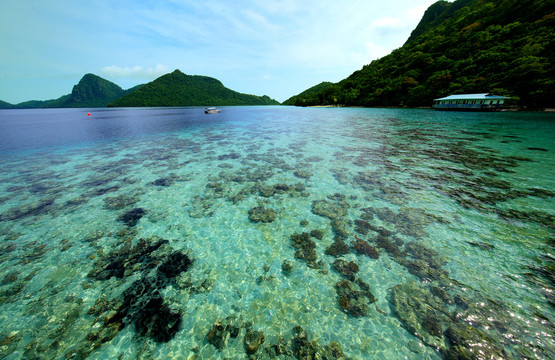 珊瑚海岸