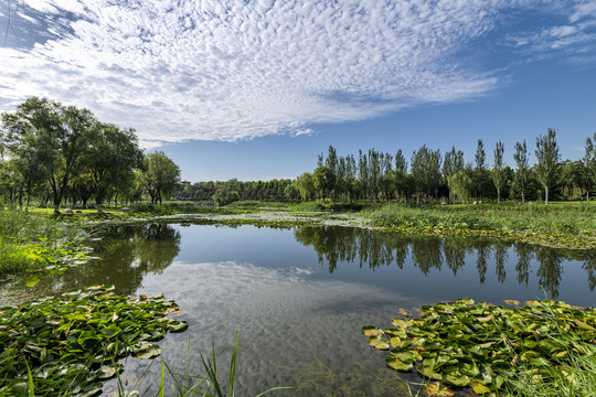 西安浐灞国家湿地公园