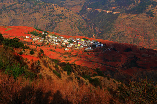 东川红土地