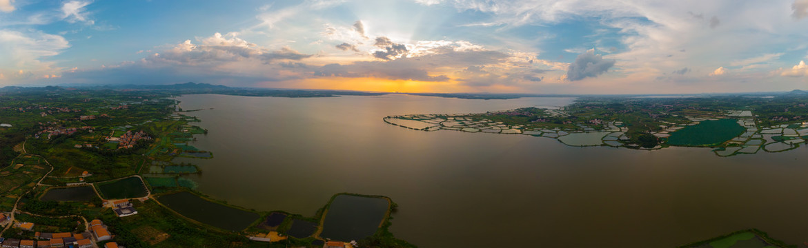 湖北大冶保安湖湿地公园夏季风光