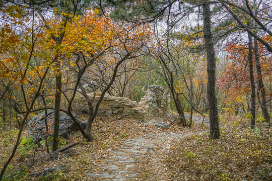 秋天山林小路