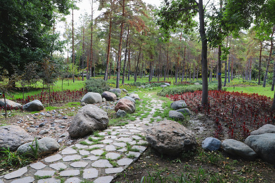 乌鲁木齐植物园美丽景色
