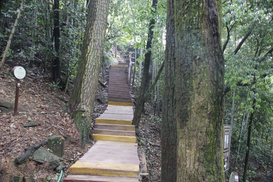 丹霞山山路