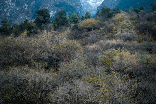 吉隆沟风光