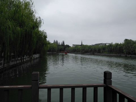 绿树河流