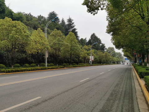 道路景观绿化
