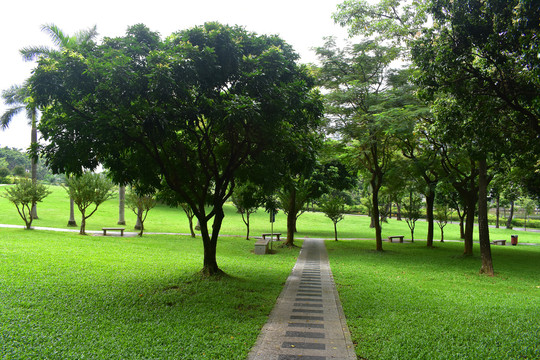 深圳中山公园