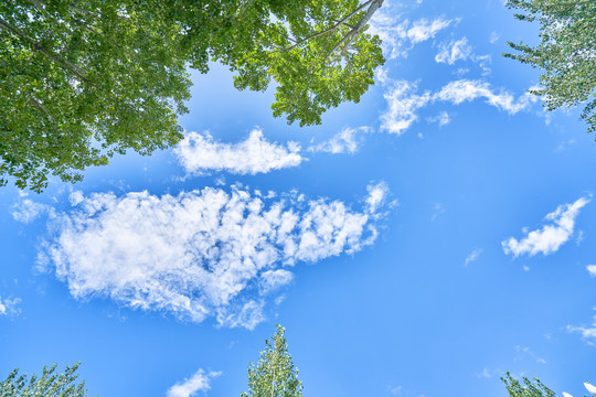 绿树和蓝天白云