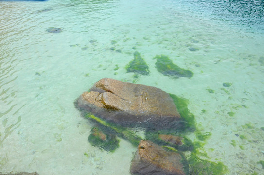 海水