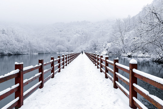 浮桥雪景