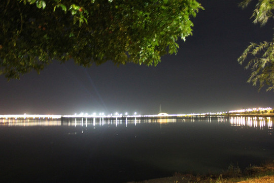 柳叶湖夜景