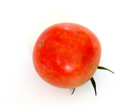 西红柿微距