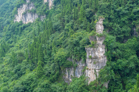 湖北宜昌三峡人家风景区夏日迷人