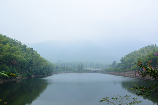 江苏宜兴竹海风景区夏日迷人风光