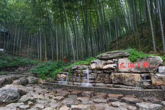 江苏宜兴竹海风景区夏日迷人风光