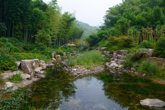 江苏宜兴竹海风景区夏日迷人风光