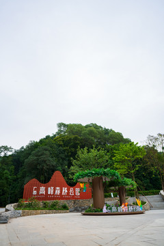 广西高峰森林公园