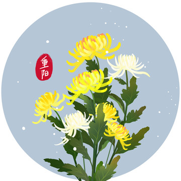 重阳秋季黄白菊花手绘免抠