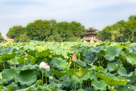 杭州西湖