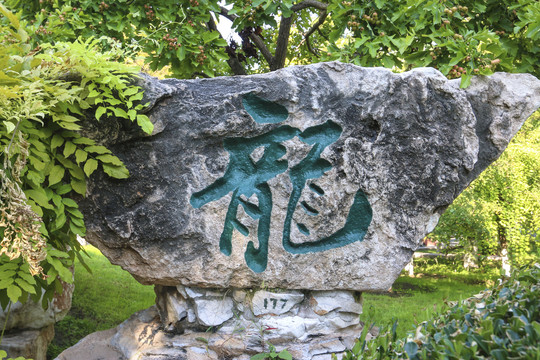 龙字