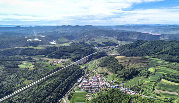 田野