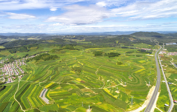 田野