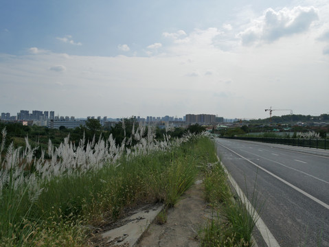 公路风景