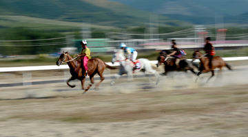 内蒙古第六届马术节