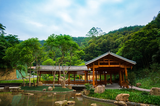 广西高峰森林公园生命河谷