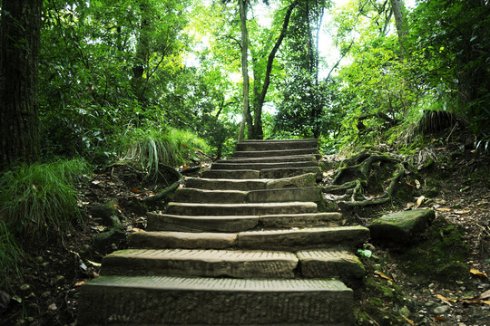 登山步道