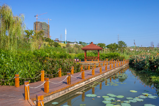 那考河湿地公园风光