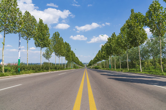 公路蓝天绿树