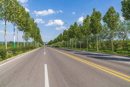 公路蓝天绿树