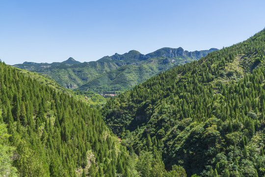 青山