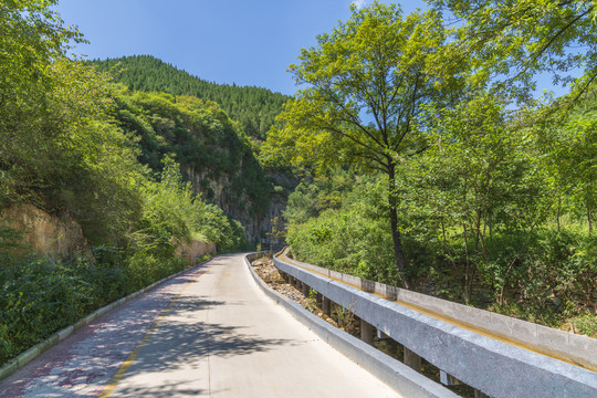 山路