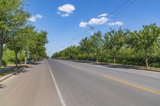 两边绿树的沥青公路通向远方