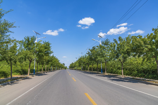 公路透视图