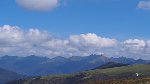 卡子拉山高山草甸