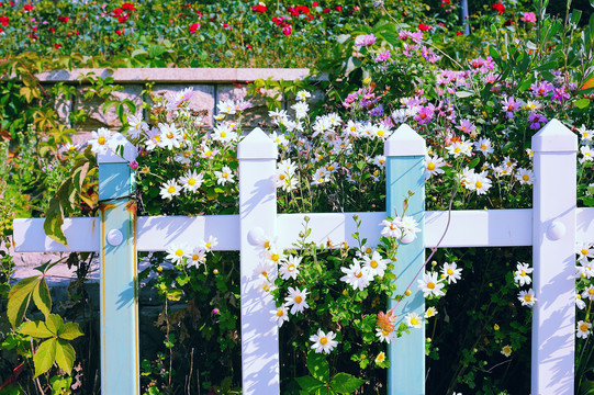 花园栏杆