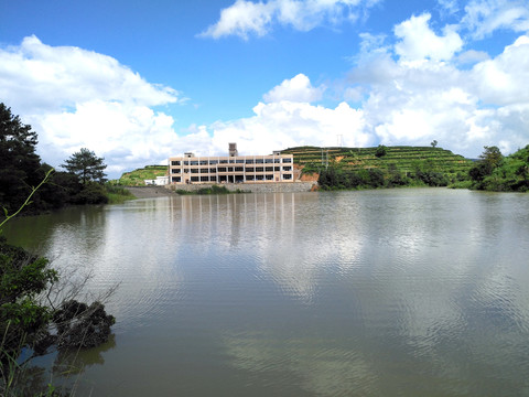 生态农林发展种植基地